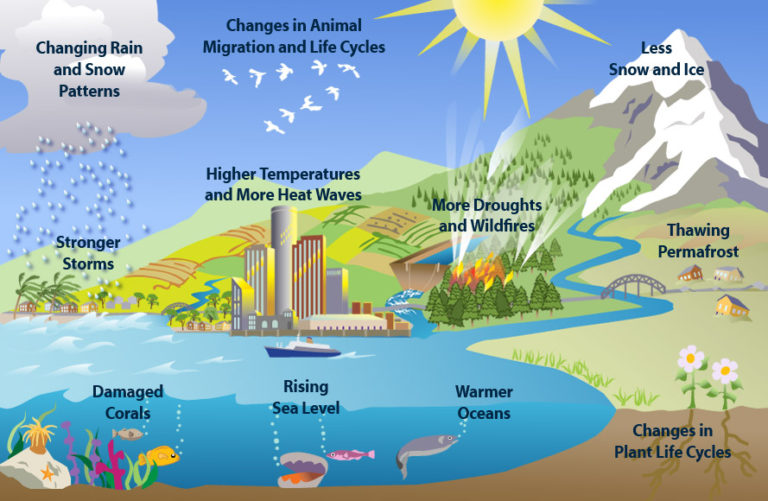 Read more about the article Climate Change Resource Guide for Students and Teachers!