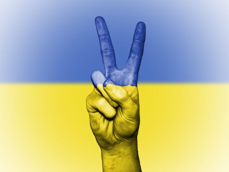 Read more about the article The war in Ukraine