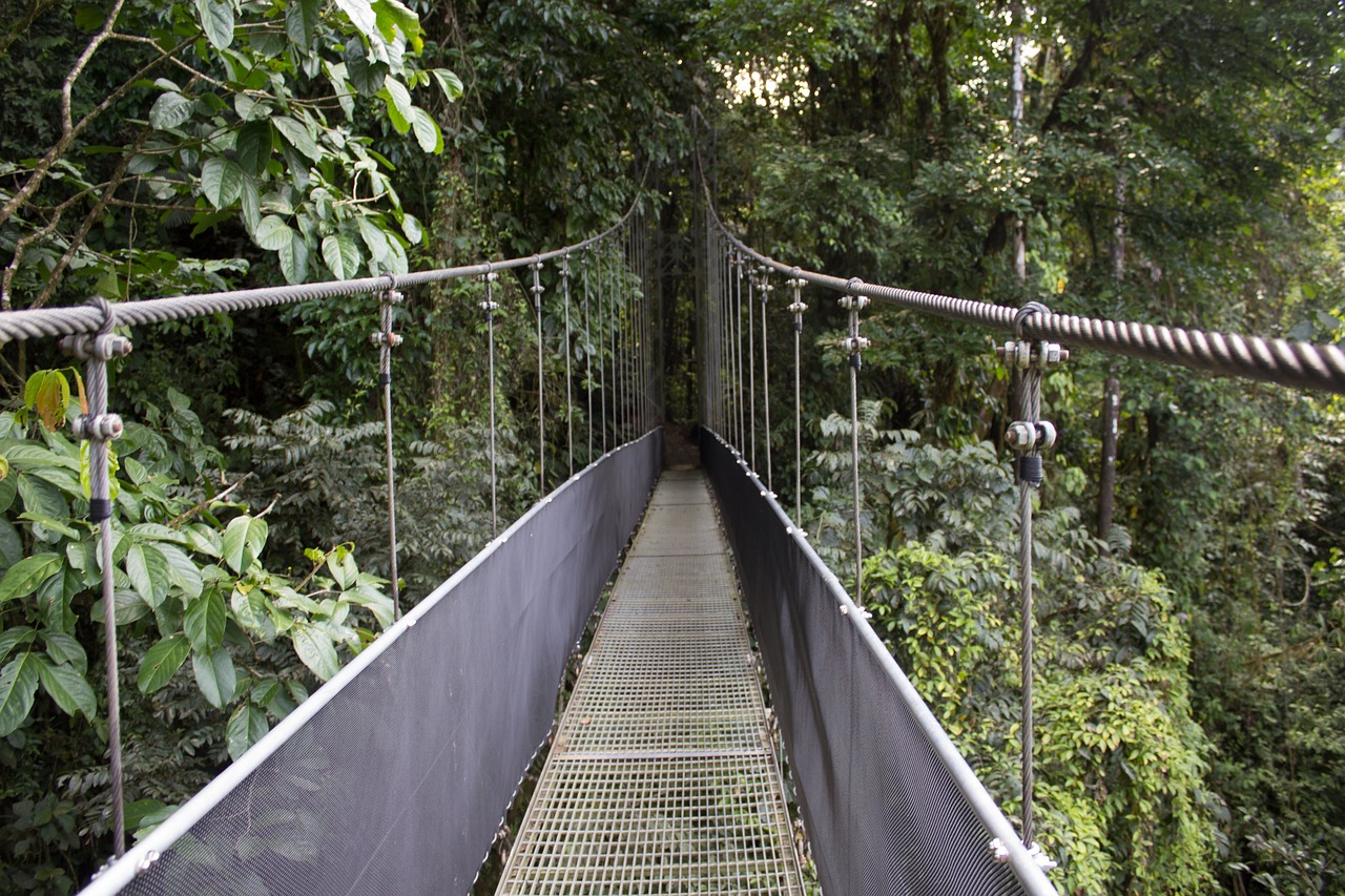 bridge, rain forest, costa rica-2124896.jpg