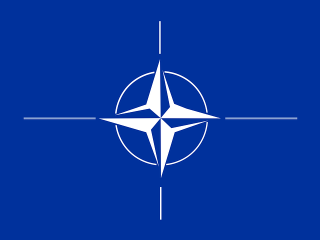 Read more about the article NATO’s Future – Great Decisions